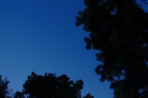 树 树梢 黑暗 天空 夜间 4k壁纸 3840x2160