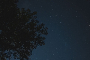 夜 树 星空 星星 4k壁纸 3840x2160
