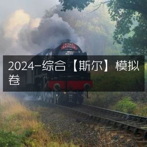 2024斯尔综合模拟卷