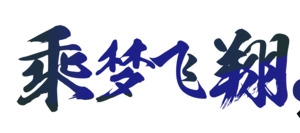 乘风飞翔共创辉煌