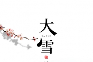 冬天大雪梅花故宫