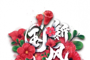 国潮新风尚手绘花朵元素