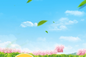 油菜花粮油米面PSD分层主图背景素材