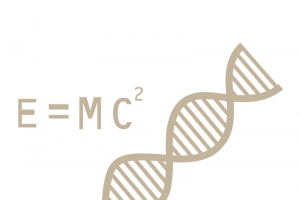 矢量学术学业高中公式