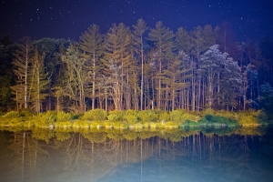 夜星光 天空 树木 4k风景壁纸