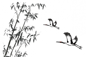 丹顶鹤竹子剪影