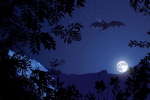 龙 夜晚 月亮 艺术 幻想 4k壁纸 3840x2160