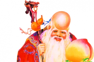 中国画老寿星中秋