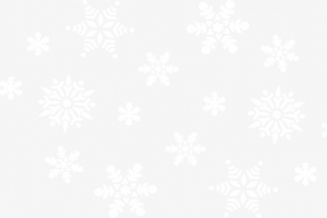 多个白色小雪花