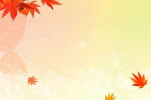 秋天海报banner