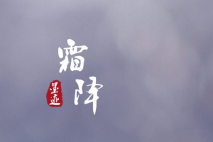 霜降节气文字植物元素