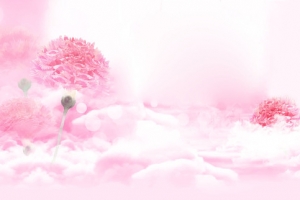 牡丹花海banner
