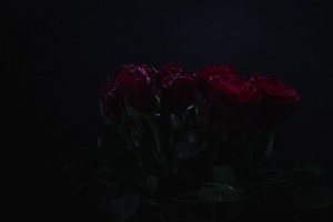 玫瑰 鲜花 花束 深色 4k壁纸 3840x2160