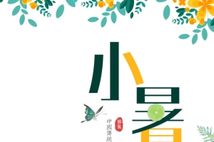小暑艺术字元素植物装饰元素