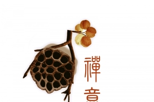 禅意莲蓬