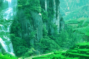 茶山背景