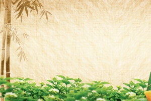 传统端午节蒸粽子纹理中国风背景