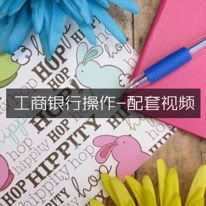 工商银行操作指南，配套视频教程