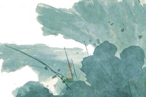 国画荷花