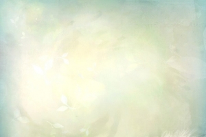 白色轻盈羽毛创意日光