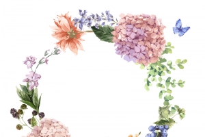 插画素材婚礼花卉矢量38
