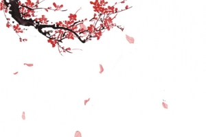 梅花古风，散落飘花