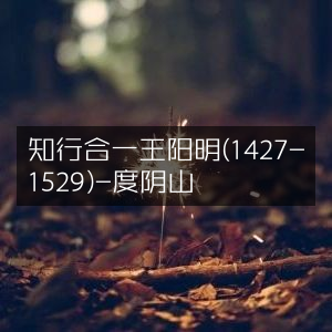 知行合一，王阳明(1427-1529)传奇 - 度阴山著|历史文化精读书籍
