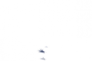 中国水墨草地