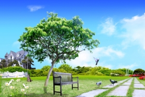 春天风景图