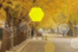 秋天学校自行车背景banner