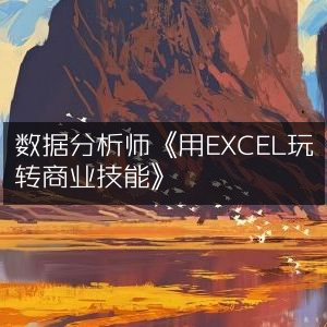 数据分析师，掌握Excel，精通商业技能