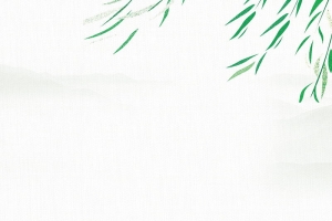 唯美清新荷花荷叶背景