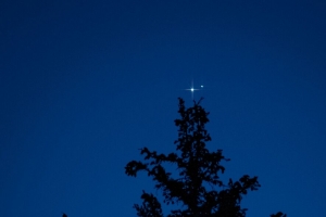 树 剪影 星星 夜晚 深色 4k壁纸 3840x2160