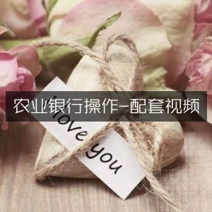 农业银行操作指南，配套视频教程