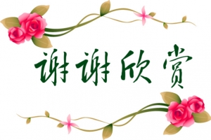 玫瑰花谢谢欣赏图片素材