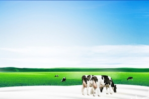 电商淘宝母婴奶粉奶瓶草原奶牛高清PNG透明背景素材免费下载