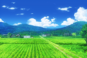 草坪,蒲公英,春天绿色背景素材,