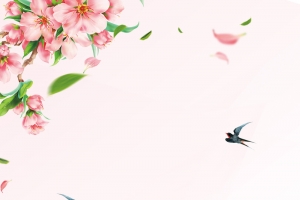 粉色唯美桃花春暖花开春季促销海报