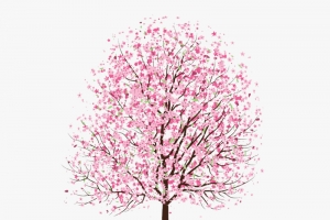 中国风手绘水彩樱花树素材