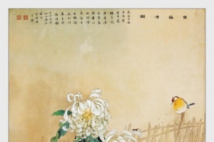 中国名家白色菊花画集