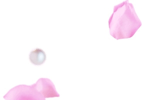 粉红色花瓣珍珠矢量素材