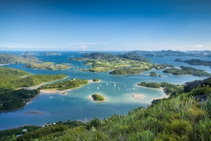 大海,草,树,山,美丽的岛屿风景图片