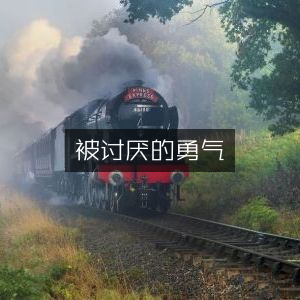 被讨厌的勇气，个人能力成长必备书籍