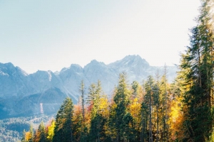 风景山水湖泊森林摄影