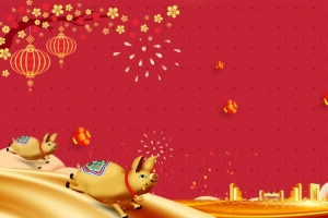 2019天蓬迎春猪年大吉海报背景