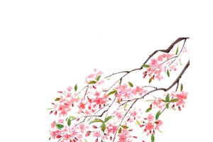 树枝装饰