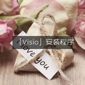 「Visio」安装指南