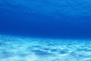 夏日海滩
