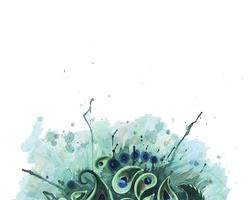 鸟类