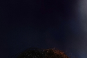 《阿凡达3》4k手机壁纸竖屏